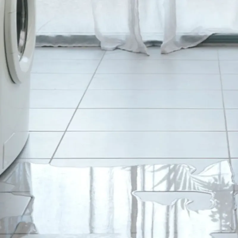 Appliance Leak Cleanup in Pelham, AL
