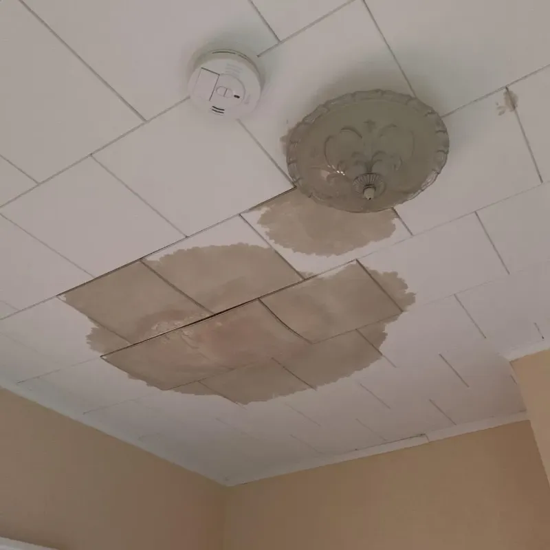 Ceiling Water Damage Repair in Pelham, AL