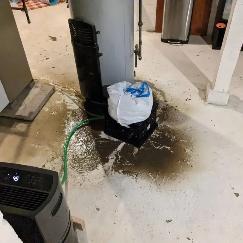 Sewage Backup Cleanup Service in Pelham, AL